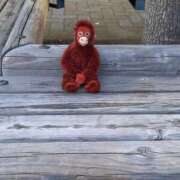 ヒメ日記 2026/04/27 06:55 投稿 ゆい わたしのっ部屋に