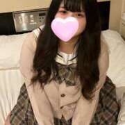 ヒメ日記 2026/04/24 09:55 投稿 むぎ サマンサ(和歌山)