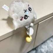 ヒメ日記 2026/09/01 09:32 投稿 るい ペペピィーノ
