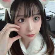 りん おはよございます❣️ 姫コレクション