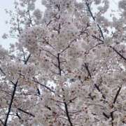 かえで 明日、参加します✨ 出会い系人妻ネットワーク 上野〜大塚編