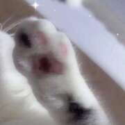 ヒメ日記 2026/04/29 15:20 投稿 いろは 電車ごっこ