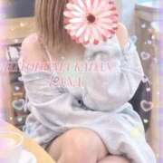 ヒメ日記 2026/09/20 12:34 投稿 らな 沼津人妻花壇