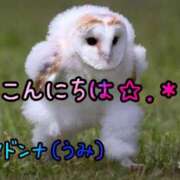 ヒメ日記 2026/05/14 16:49 投稿 海(うみ) 札幌人妻マドンナ