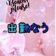 ヒメ日記 2026/08/20 18:48 投稿 海(うみ) 札幌人妻マドンナ