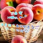 ヒメ日記 2026/08/31 04:48 投稿 海(うみ) 札幌人妻マドンナ