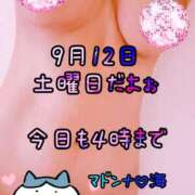 ヒメ日記 2026/09/12 13:55 投稿 海(うみ) 札幌人妻マドンナ