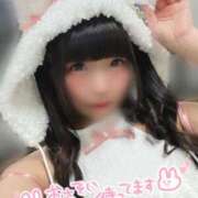 ヒメ日記 2026/06/22 17:59 投稿 もか JAPAN CLUB BUNNY LOUNGE