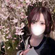 ヒメ日記 2026/04/24 12:14 投稿 松井もえ ブルーバード