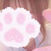 ヒメ日記 2026/04/28 08:28 投稿 ひなみ ロイヤル土佐