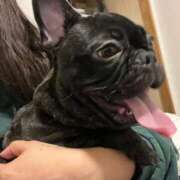 ヒメ日記 2026/05/14 12:13 投稿 OL≫三空まおみ 不倫商事 多治見本店