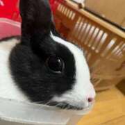ヒメ日記 2026/06/08 20:58 投稿 OL≫三空まおみ 不倫商事 多治見本店