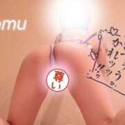 れむ 出勤なり(*`･ω･)ゞ✨ ギャルズネットワーク神戸