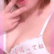 ヒメ日記 2026/05/15 08:11 投稿 浦沢せりか ウフフな40。ムフフな50。。（横浜ハレ系）