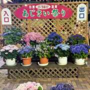 ヒメ日記 2026/06/17 06:30 投稿 にこる アラモード