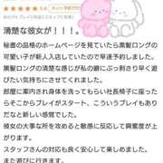 ヒメ日記 2026/04/29 12:15 投稿 オトハ秘書 秘書の品格 クラブアッシュ ヴァリエ