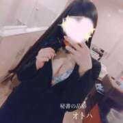 ヒメ日記 2026/05/01 16:08 投稿 オトハ秘書 秘書の品格 クラブアッシュ ヴァリエ