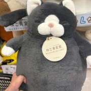 おとぎ ねこかわいい☺️🩷 東京メンズボディクリニック TMBC 池袋店