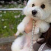 ヒメ日記 2026/04/26 19:21 投稿 かなめ My Essentials