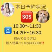 ヒメ日記 2026/05/20 08:12 投稿 有馬まどか サクラ（すすきの）