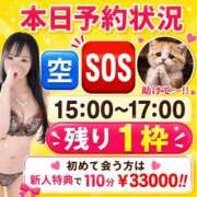 ヒメ日記 2026/05/29 08:18 投稿 有馬まどか サクラ（すすきの）