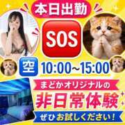 ヒメ日記 2026/06/06 08:18 投稿 有馬まどか サクラ（すすきの）