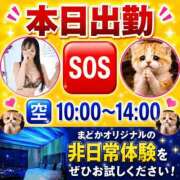 ヒメ日記 2026/06/11 08:18 投稿 有馬まどか サクラ（すすきの）