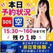 ヒメ日記 2026/06/25 08:18 投稿 有馬まどか サクラ（すすきの）