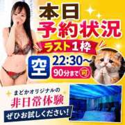 ヒメ日記 2026/09/11 15:18 投稿 有馬まどか サクラ（すすきの）