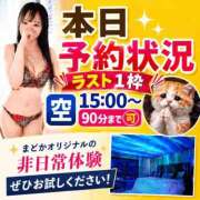 ヒメ日記 2026/09/13 08:18 投稿 有馬まどか サクラ（すすきの）