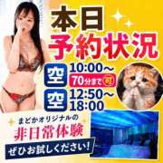 ヒメ日記 2026/09/23 08:12 投稿 有馬まどか サクラ（すすきの）
