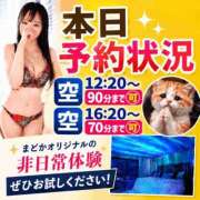 ヒメ日記 2026/09/24 08:03 投稿 有馬まどか サクラ（すすきの）