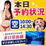 ヒメ日記 2026/09/27 08:48 投稿 有馬まどか サクラ（すすきの）