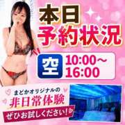 ヒメ日記 2026/09/29 08:57 投稿 有馬まどか サクラ（すすきの）
