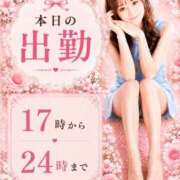 ヒメ日記 2026/08/19 12:22 投稿 ゆりあ　鮮烈な存在感が光る美女 ROYAL FACE