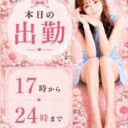 ヒメ日記 2026/08/24 12:24 投稿 ゆりあ　鮮烈な存在感が光る美女 ROYAL FACE