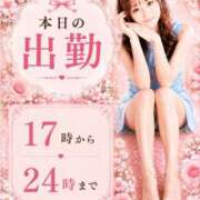 ヒメ日記 2026/08/29 12:23 投稿 ゆりあ　鮮烈な存在感が光る美女 ROYAL FACE