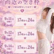 ヒメ日記 2026/09/10 18:02 投稿 ゆりあ　鮮烈な存在感が光る美女 ROYAL FACE