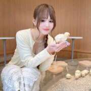 ヒメ日記 2026/09/11 15:24 投稿 ゆりあ　鮮烈な存在感が光る美女 ROYAL FACE