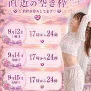 ヒメ日記 2026/09/11 18:03 投稿 ゆりあ　鮮烈な存在感が光る美女 ROYAL FACE