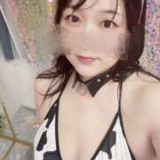 ヒメ日記 2026/04/30 11:08 投稿 ときな 丸妻 新横浜店