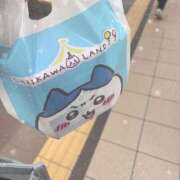 ヒメ日記 2026/04/29 19:57 投稿 瀬戸 かすみ Mの世界