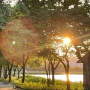 ヒメ日記 2026/10/09 06:42 投稿 あきほ 取手人妻快速