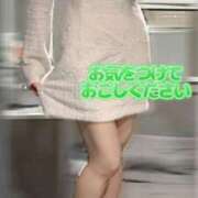 ヒメ日記 2026/06/25 20:17 投稿 めろん The White