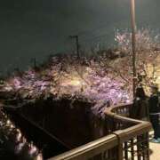 ヒメ日記 2026/04/24 18:38 投稿 なつみ 丸妻 池袋店