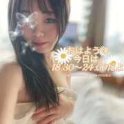 ヒメ日記 2026/06/04 05:17 投稿 にーな ハピネス東京