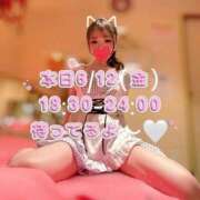 ヒメ日記 2026/06/12 05:17 投稿 にーな ハピネス東京