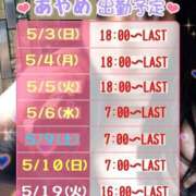 ヒメ日記 2026/04/28 19:22 投稿 あやめ 桃李（とうり）