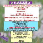 ヒメ日記 2026/05/05 16:23 投稿 あやめ 桃李（とうり）