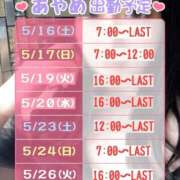 ヒメ日記 2026/05/12 15:42 投稿 あやめ 桃李（とうり）